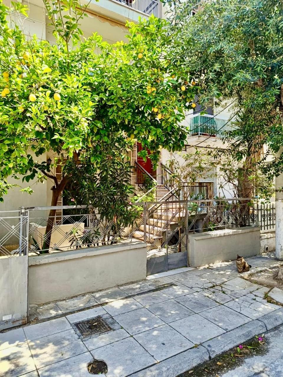 Athens Nice Apartment Экстерьер фото